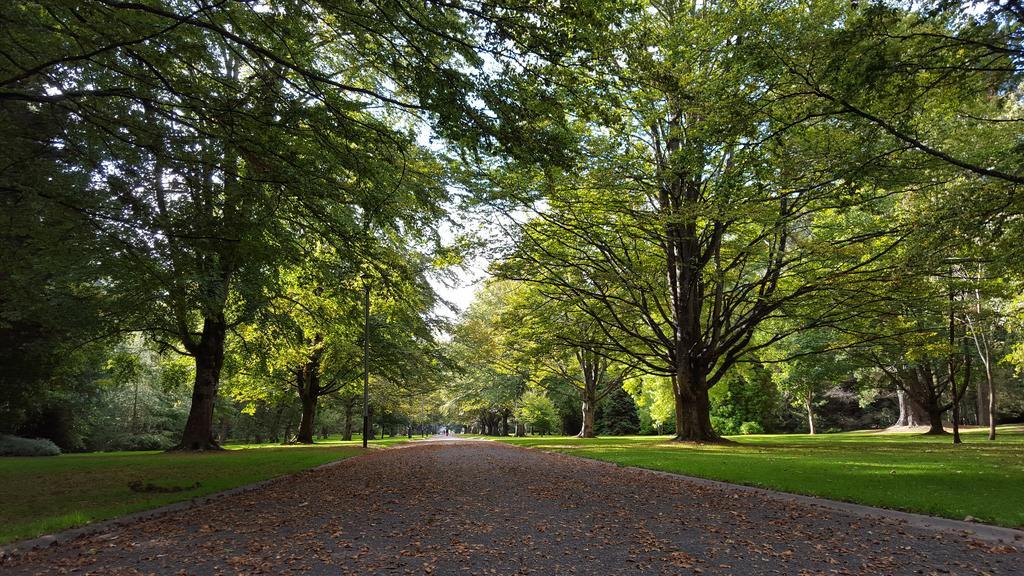 Queens Park Motels Invercargill Kültér fotó