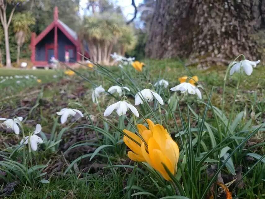 Queens Park Motels Invercargill Kültér fotó